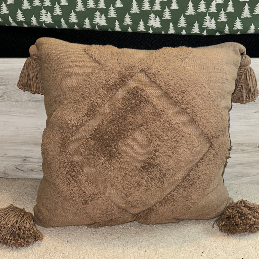 Throw Pillow
